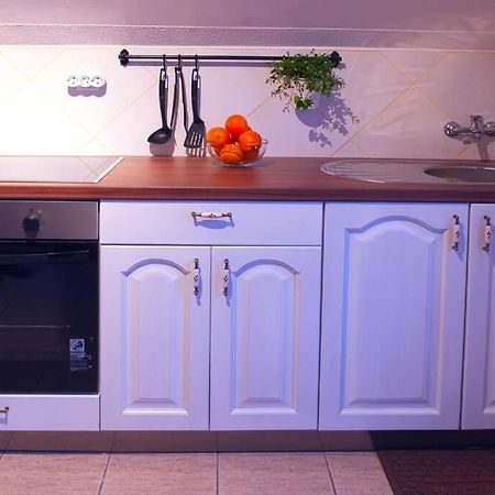 Ferienwohnung Apartman Poznanovic Rakovica Exterior foto