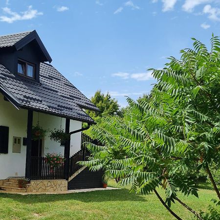 Ferienwohnung Apartman Poznanovic Rakovica Exterior foto